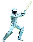 NextGen Fantasy Cricket logo